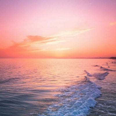 bob体体育app下载