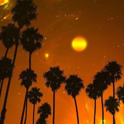 ayx体育在线登录下载手机版