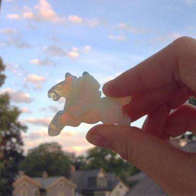 半岛·综合体育官网入口