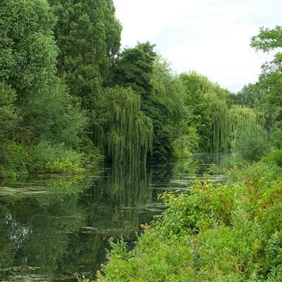 万博手机版max网页版(中国)官方网站