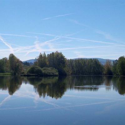 开云电竞手机app下载