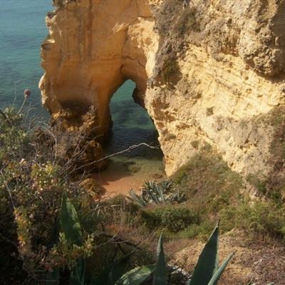 开运app官方登录入口