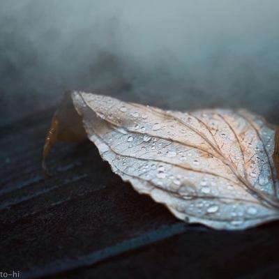 万博·体育app下载