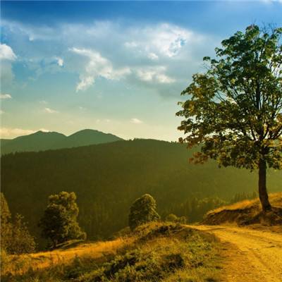 乐发app最新版下载