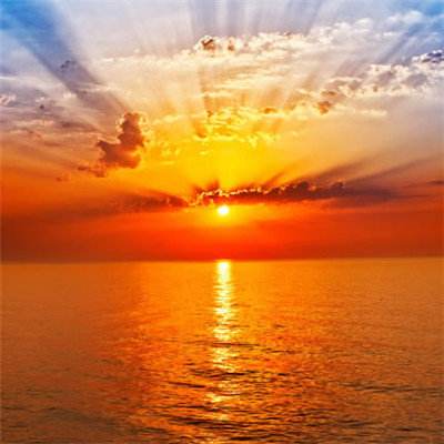 NG体育手机app下载